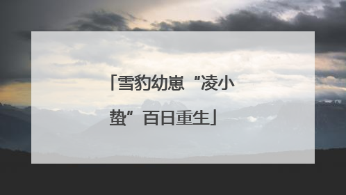 雪豹幼崽“凌小蛰”百日重生