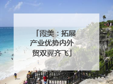 霞美：拓展产业优势内外贸双翼齐飞
