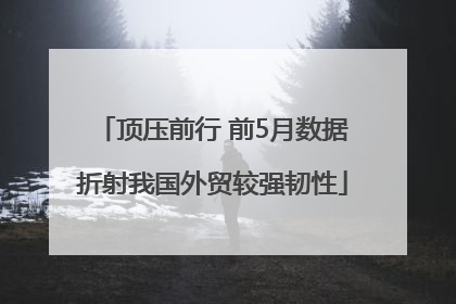顶压前行 前5月数据折射我国外贸较强韧性