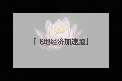 飞地经济加速跑