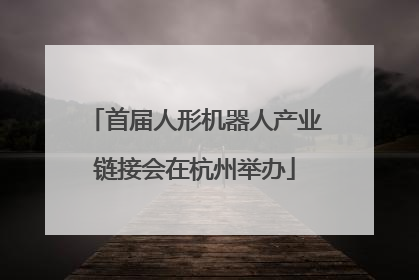 首届人形机器人产业链接会在杭州举办