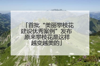 首批“美丽攀枝花建设优秀案例”发布 原来攀枝花是这样越变越美的