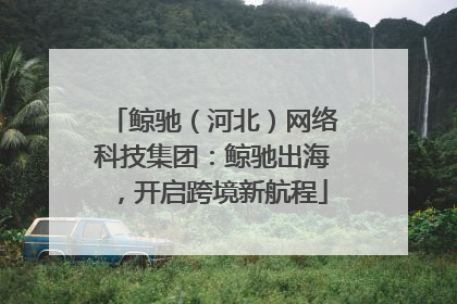 鲸驰（河北）网络科技集团：鲸驰出海，开启跨境新航程