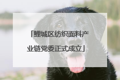 鲤城区纺织面料产业链党委正式成立
