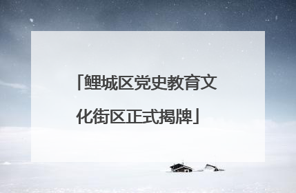 鲤城区党史教育文化街区正式揭牌