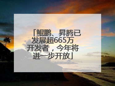 鲲鹏、昇腾已发展超665万开发者，今年将进一步开放