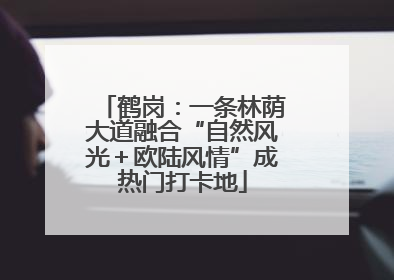 鹤岗：一条林荫大道融合“自然风光＋欧陆风情”成热门打卡地