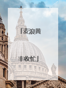 麦浪黄 丰收忙