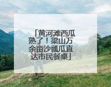 黄河滩西瓜熟了！梁山万余亩沙瓤瓜直达市民餐桌