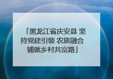 黑龙江省庆安县 坚持党建引领 农旅融合铺就乡村共富路
