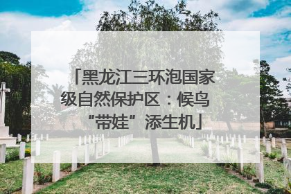 黑龙江三环泡国家级自然保护区：候鸟“带娃”添生机