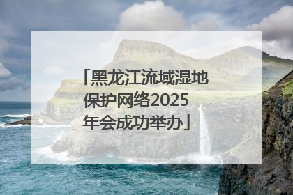 黑龙江流域湿地保护网络2025年会成功举办