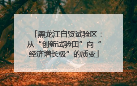 黑龙江自贸试验区：从“创新试验田”向“经济增长极”的质变
