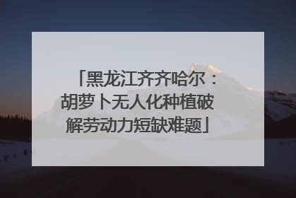 黑龙江齐齐哈尔：胡萝卜无人化种植破解劳动力短缺难题