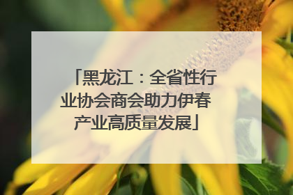 黑龙江：全省性行业协会商会助力伊春产业高质量发展