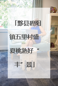 黟县碧阳镇五里村盛夏桃熟好“丰”景