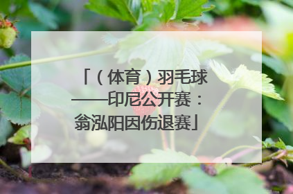 （体育）羽毛球——印尼公开赛：翁泓阳因伤退赛