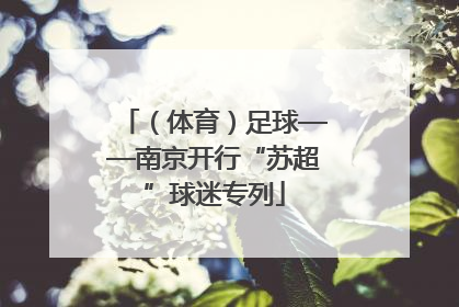 （体育）足球——南京开行“苏超”球迷专列