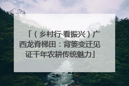 （乡村行·看振兴）广西龙脊梯田：背篓变迁见证千年农耕传统魅力