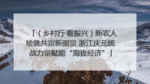（乡村行·看振兴）新农人绘就共富新图景 浙江庆元统战力量赋能“海拔经济”