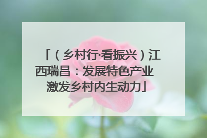 （乡村行·看振兴）江西瑞昌：发展特色产业 激发乡村内生动力