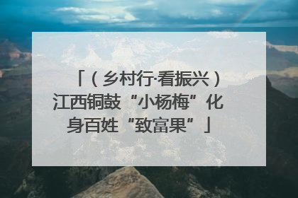 （乡村行·看振兴）江西铜鼓“小杨梅”化身百姓“致富果”