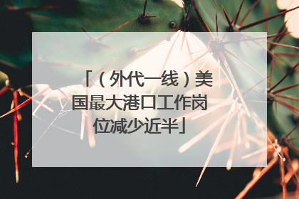 （外代一线）美国最大港口工作岗位减少近半