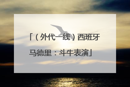 （外代一线）西班牙马德里：斗牛表演