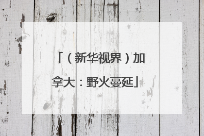 （新华视界）加拿大：野火蔓延