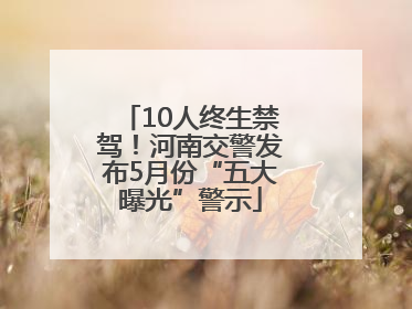 10人终生禁驾！河南交警发布5月份“五大曝光”警示