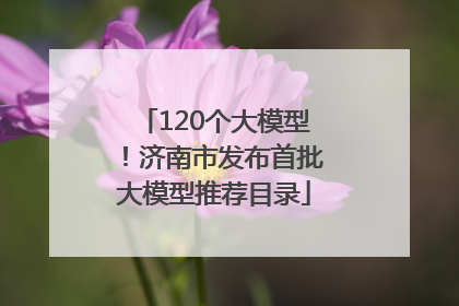 120个大模型！济南市发布首批大模型推荐目录