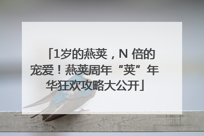 1岁的燕荚，N 倍的宠爱！燕荚周年“荚”年华狂欢攻略大公开