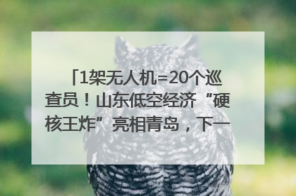 1架无人机=20个巡查员！山东低空经济“硬核王炸”亮相青岛，下一个万亿赛道藏在这里