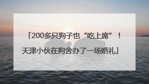 200多只狗子也“吃上席”！天津小伙在狗舍办了一场婚礼