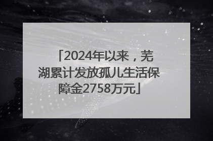 2024年以来，芜湖累计发放孤儿生活保障金2758万元