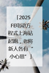 2025FE电动方程式上海站起跑，老将新人各有“小心思”