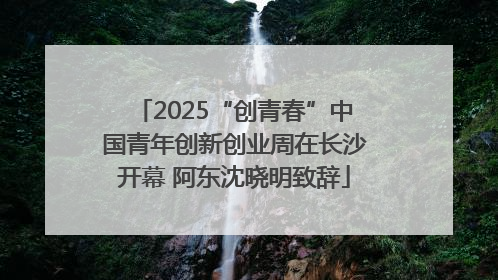 2025“创青春”中国青年创新创业周在长沙开幕 阿东沈晓明致辞