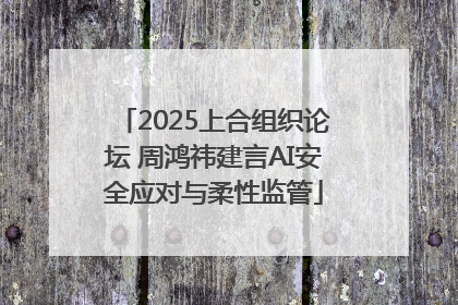 2025上合组织论坛 周鸿祎建言AI安全应对与柔性监管