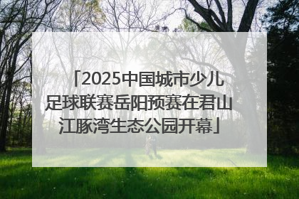 2025中国城市少儿足球联赛岳阳预赛在君山江豚湾生态公园开幕