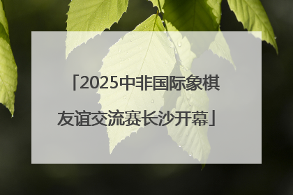 2025中非国际象棋友谊交流赛长沙开幕