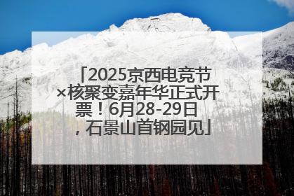 2025京西电竞节×核聚变嘉年华正式开票！6月28-29日，石景山首钢园见