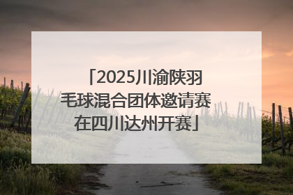 2025川渝陕羽毛球混合团体邀请赛在四川达州开赛