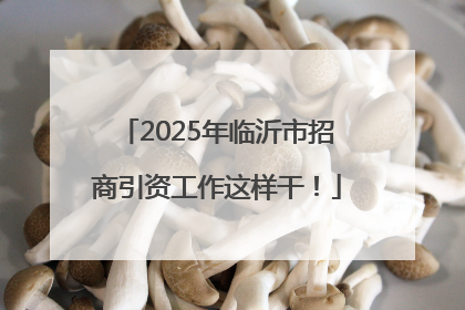 2025年临沂市招商引资工作这样干！