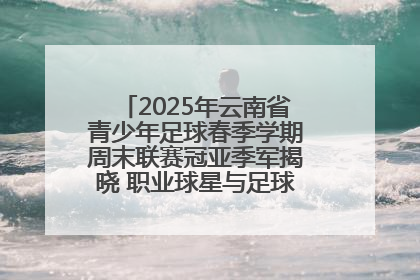 2025年云南省青少年足球春季学期周末联赛冠亚季军揭晓 职业球星与足球小将共享荣耀时刻