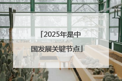 2025年是中国发展关键节点