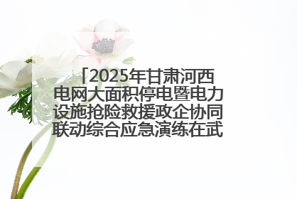 2025年甘肃河西电网大面积停电暨电力设施抢险救援政企协同联动综合应急演练在武威成功举行