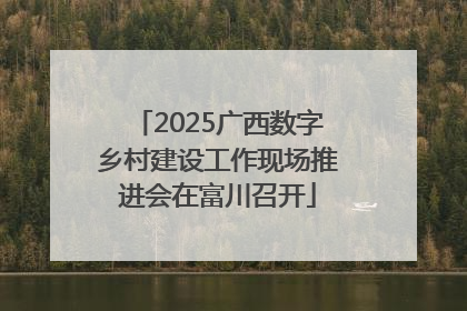 2025广西数字乡村建设工作现场推进会在富川召开