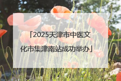 2025天津市中医文化市集津南站成功举办