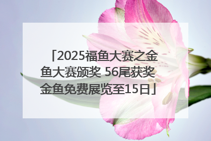 2025福鱼大赛之金鱼大赛颁奖 56尾获奖金鱼免费展览至15日