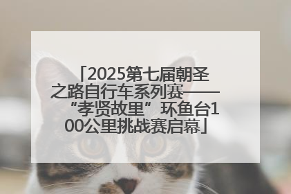 2025第七届朝圣之路自行车系列赛——“孝贤故里”环鱼台100公里挑战赛启幕